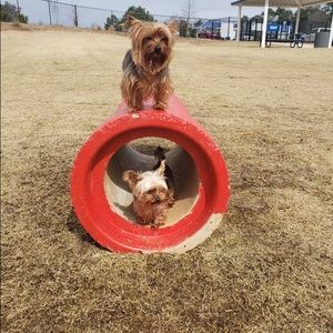 Meet your Posher, Brittaney